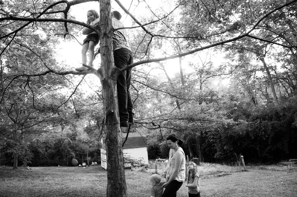 dad and daughter up high in a tree with mom and little girl and boy at bottom of tree